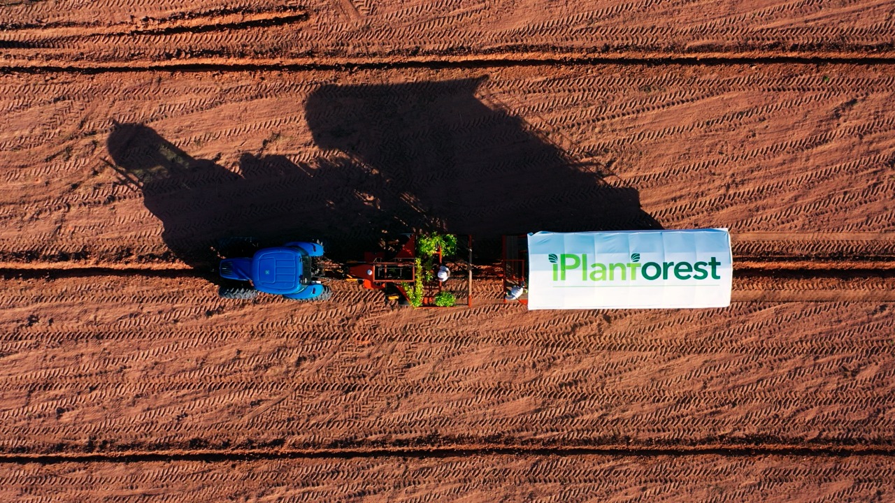 Creation of the iPlantForest Group
